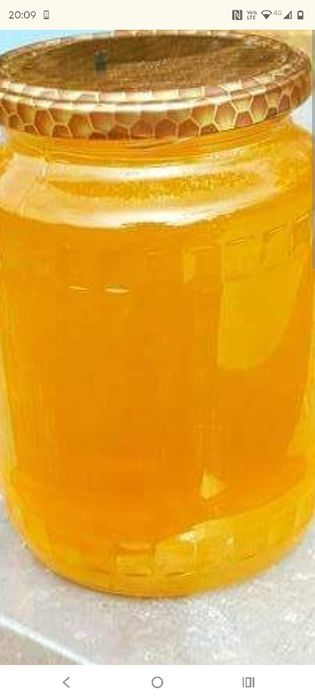 Vând miere tei 2025i angro 2tone