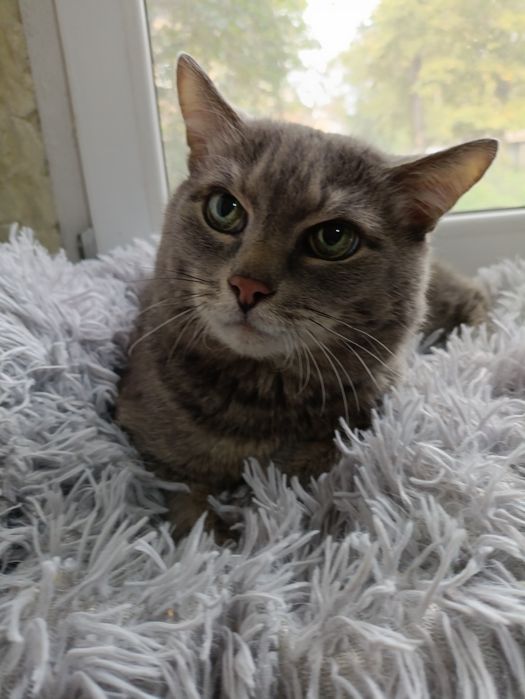 Сеньор в поисках жилплощади