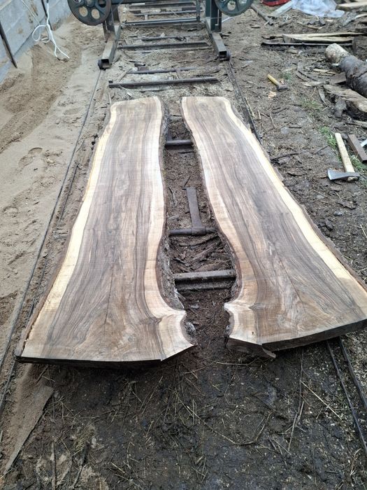 Scandura /foastana de nuc uscata