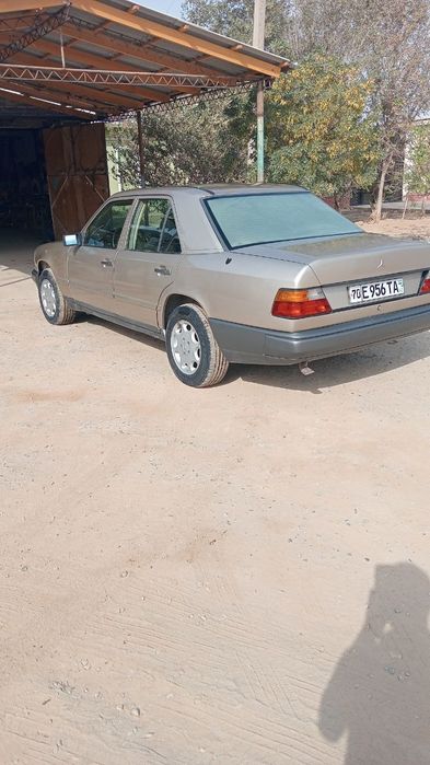 Mercedes-Benz e124
