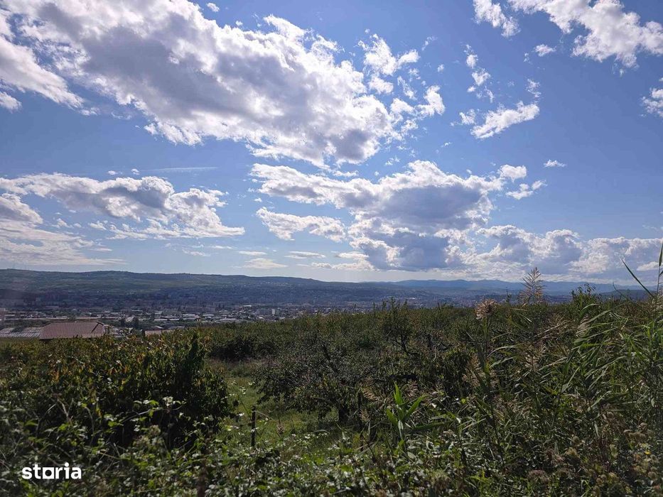 Teren intravilan | De vânzare