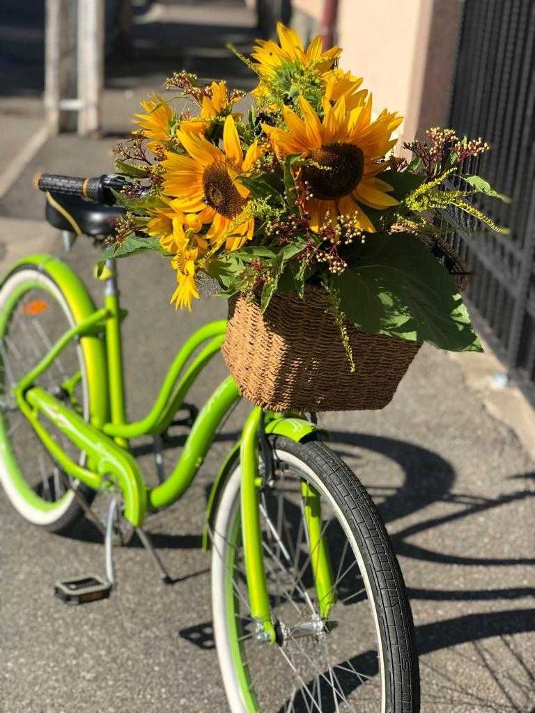 Bicicleta city  Fiesta Lime