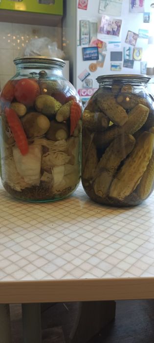 Огурчики домашние, солёные