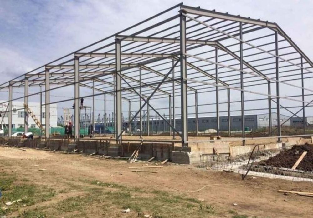 Vand hala metalică 10×15