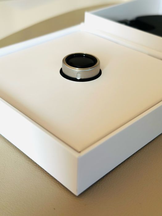 Oura Ring Generation 3 Horizon Brushed Titanium US6