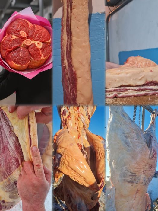 Мясо конина кг 3200