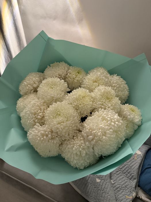 Цветы гортензия