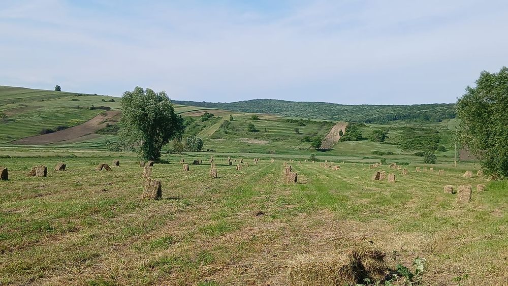 Baloti Lucerna.Pentru detalii sunati la nr de telefon