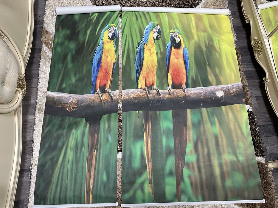 Жалюзи стандартного размера