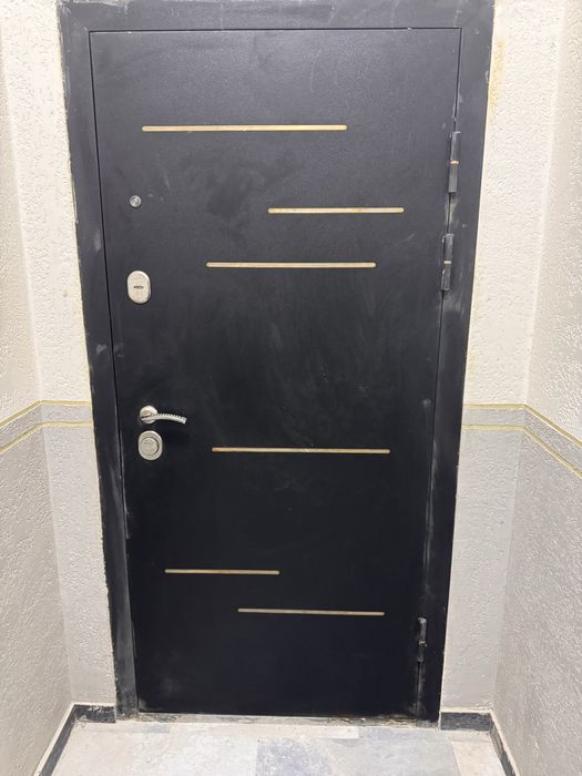 Temir standart kirish eshigi