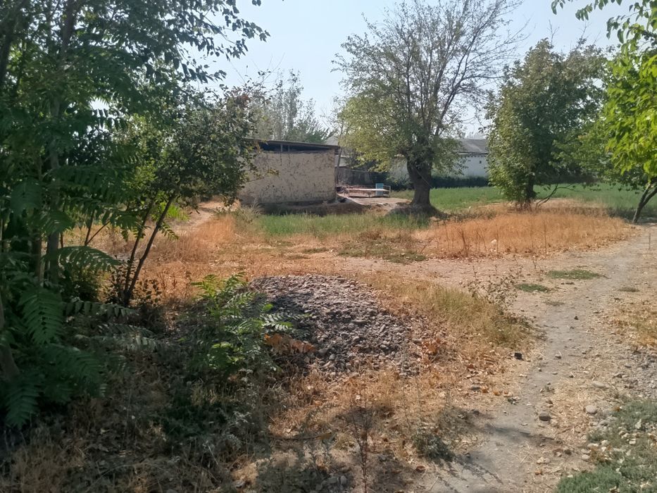 Уй - жой сотилади Окдарё туманида