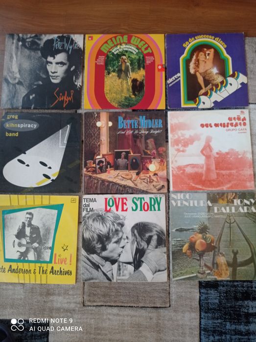 Discuri vinil de muzică pop rock