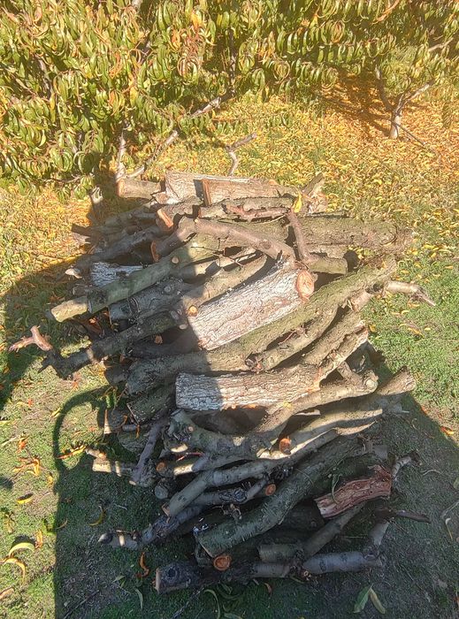 Дърва от Прасковки