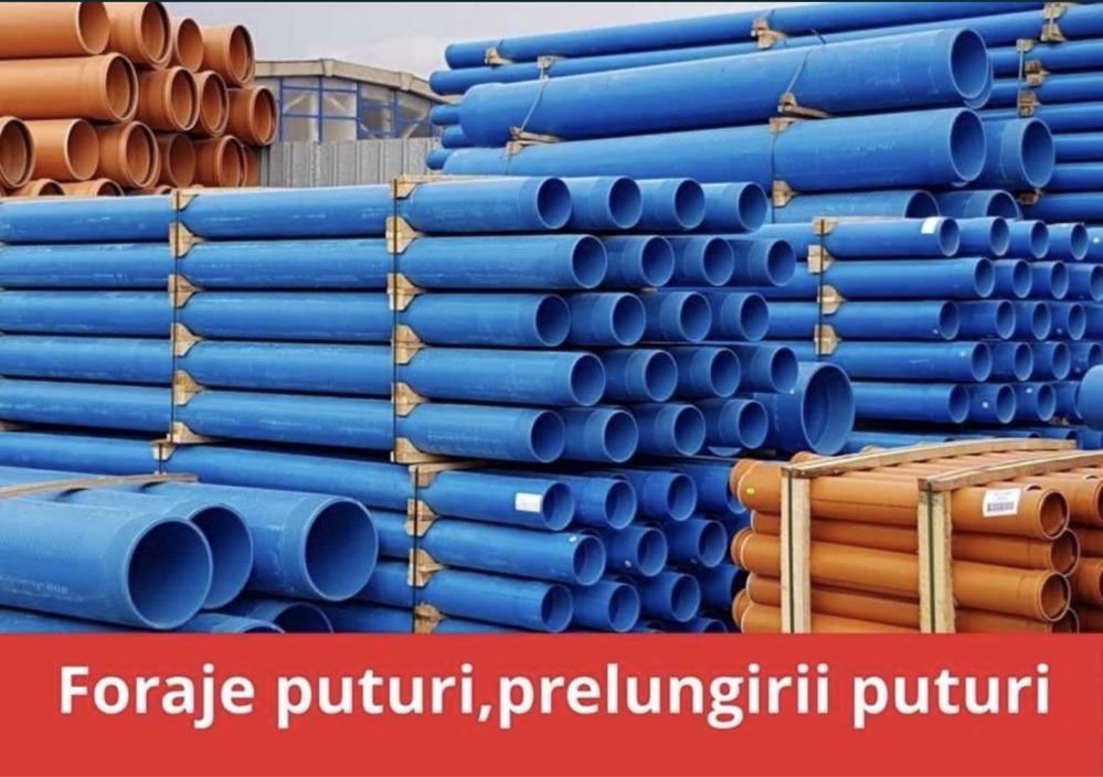 Foraje puturi si Denispari