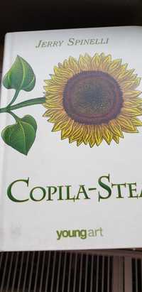 Copila Stea - Jerry Spinelli