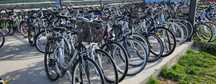 Bicicleta /Biciclete