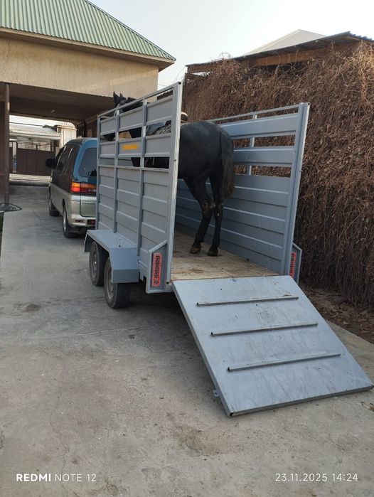 Прицеп конивозка