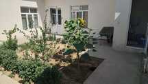 Arenda Uchastka 3 xona 350y.e Yunusabod