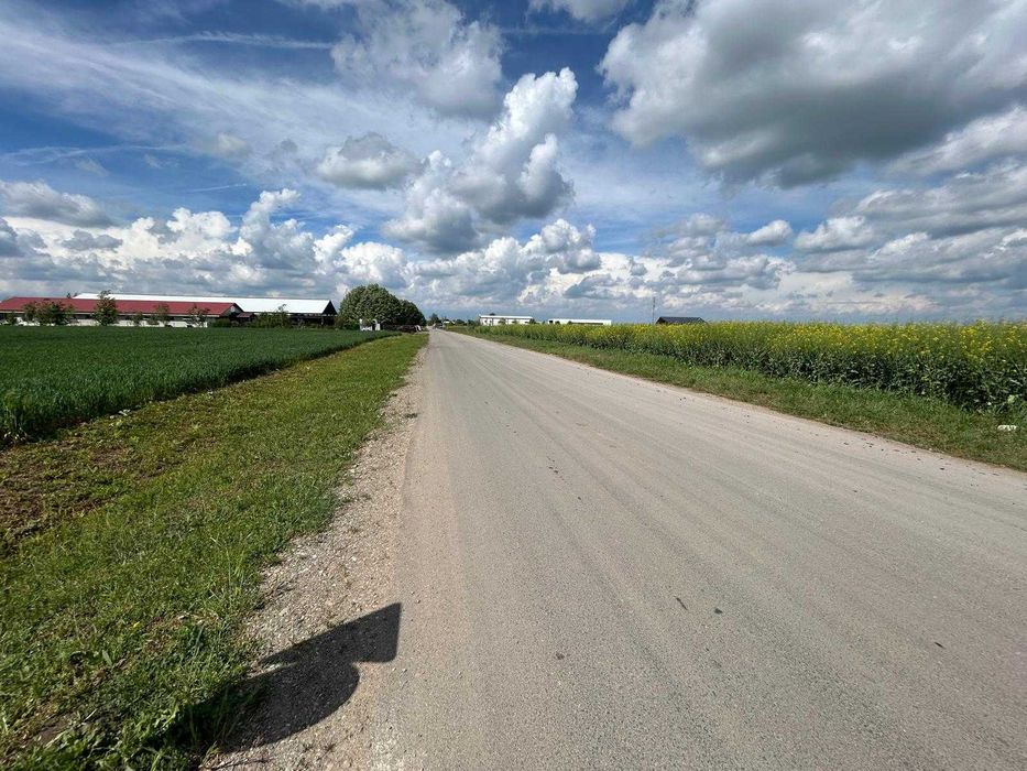 Moara Vlasiei - zona industriala, 17.000 mp