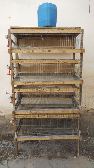 Бөдене бағуға арналған тор сатылады