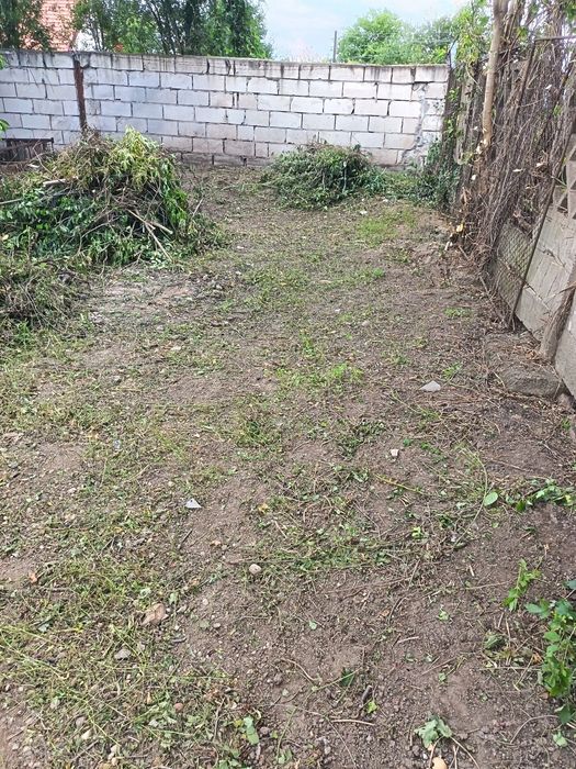 Ofer servicii: toaletat copaci,cosit iarba, curățat terenuri, gospodar