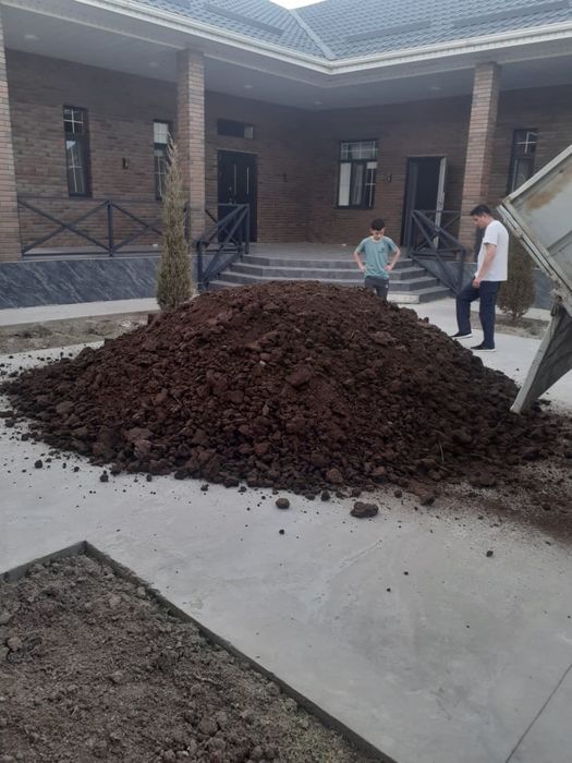 Шеңгелдің топрағы бар огародка