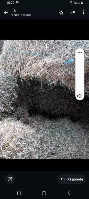 Baloți de lucernă 20 Lei