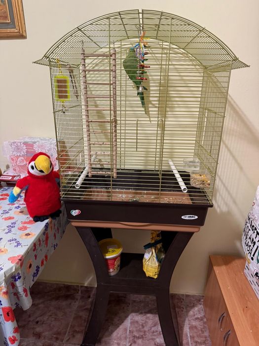 Micul Alexandru + Colivie