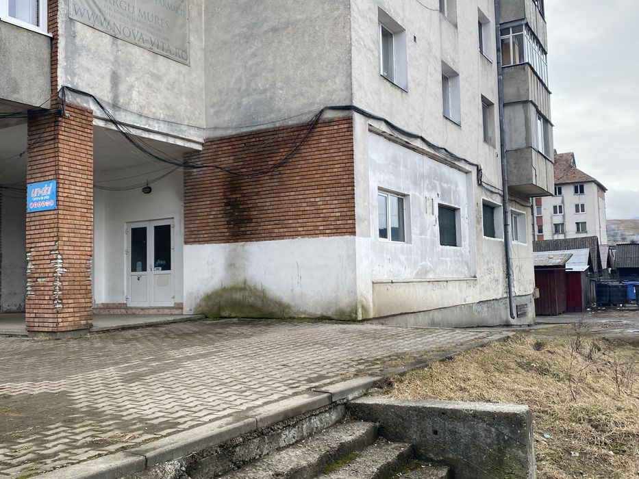 De inchiriat PARTER cartier Tricotaje