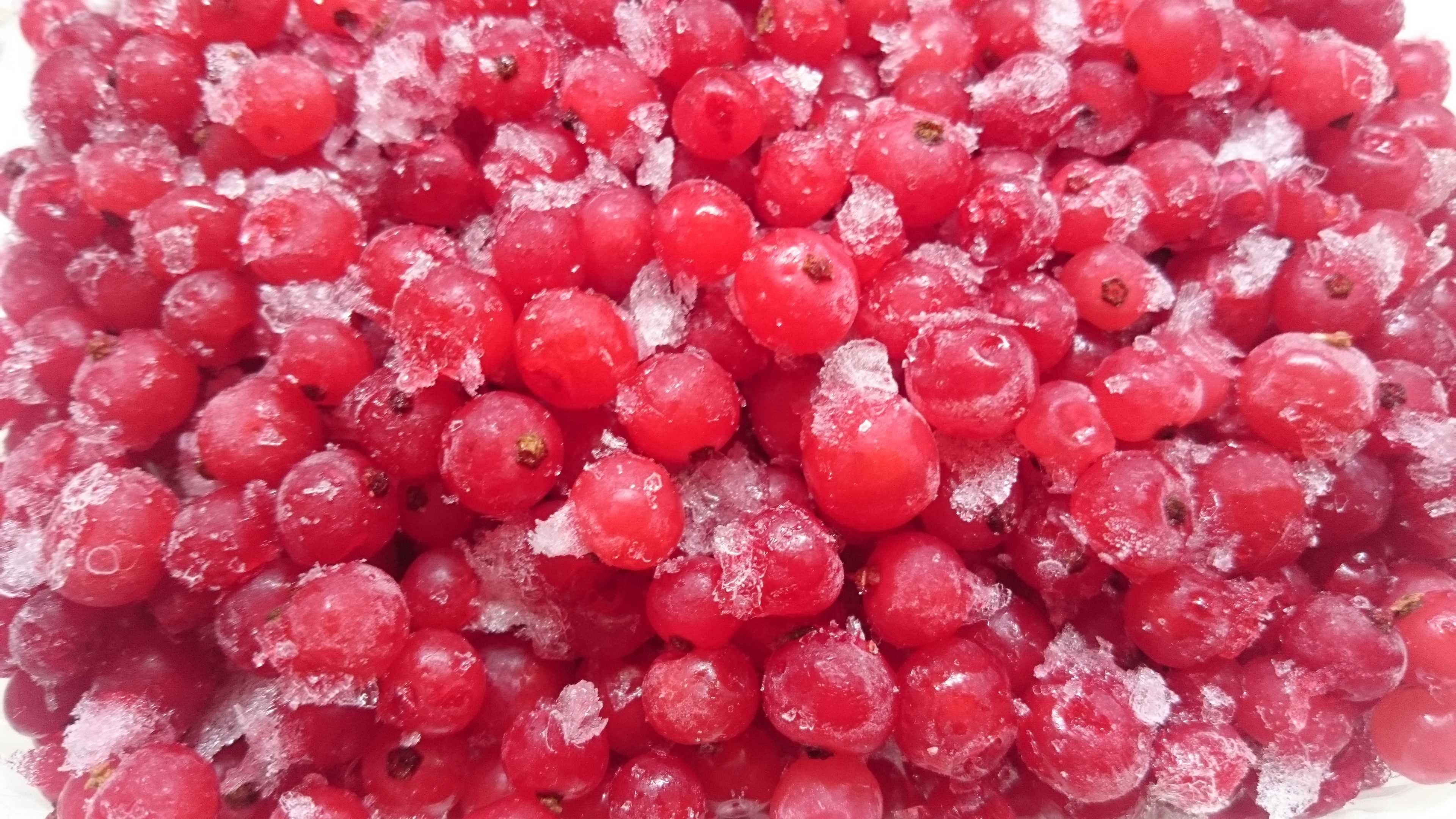 Замороженные ягоды Смородина Сушеные ягоды Малина Смородина из сада