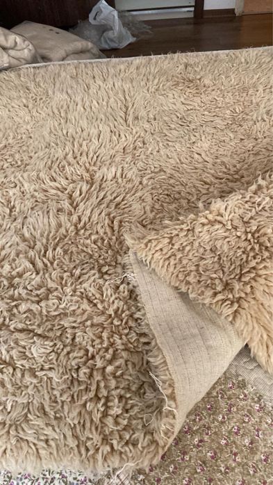 Китеници различни размери