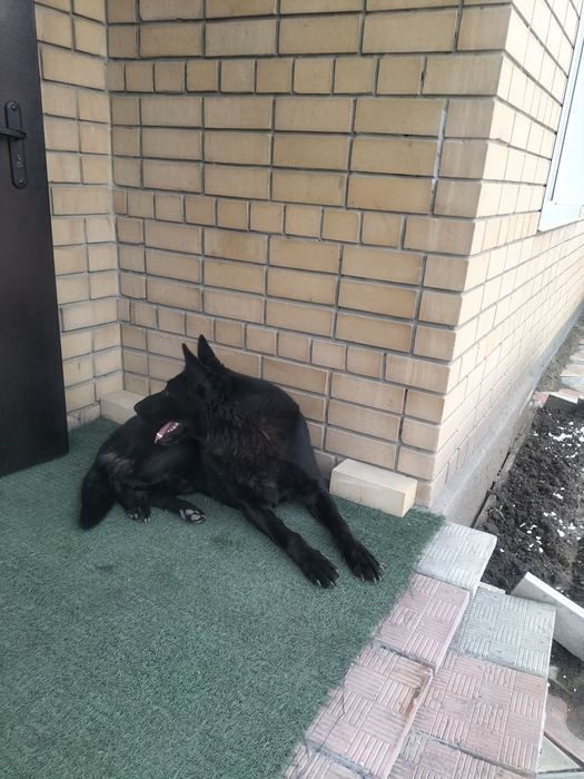 Вязка мальчик 4 года