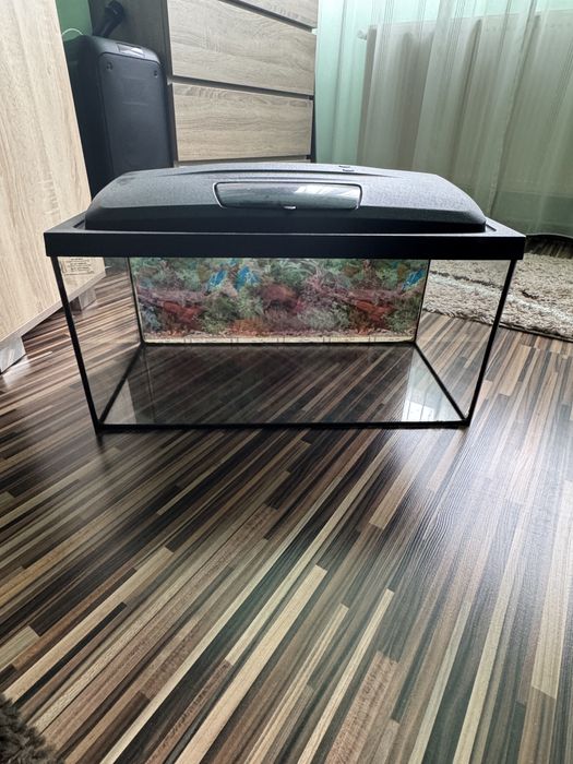 Acvariu Pesti 54 L