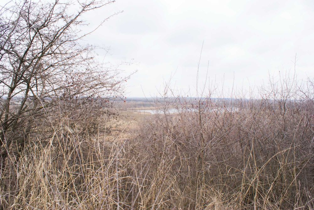 De vanzare- Teren intravilan 1000mpAdunatii Copaceni