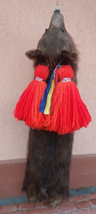 Blana de urs/piele de urs