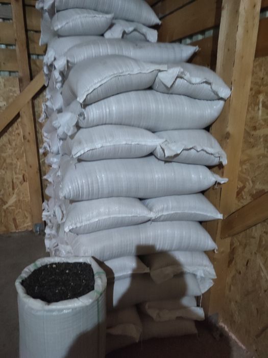 Vând floarea soarelui