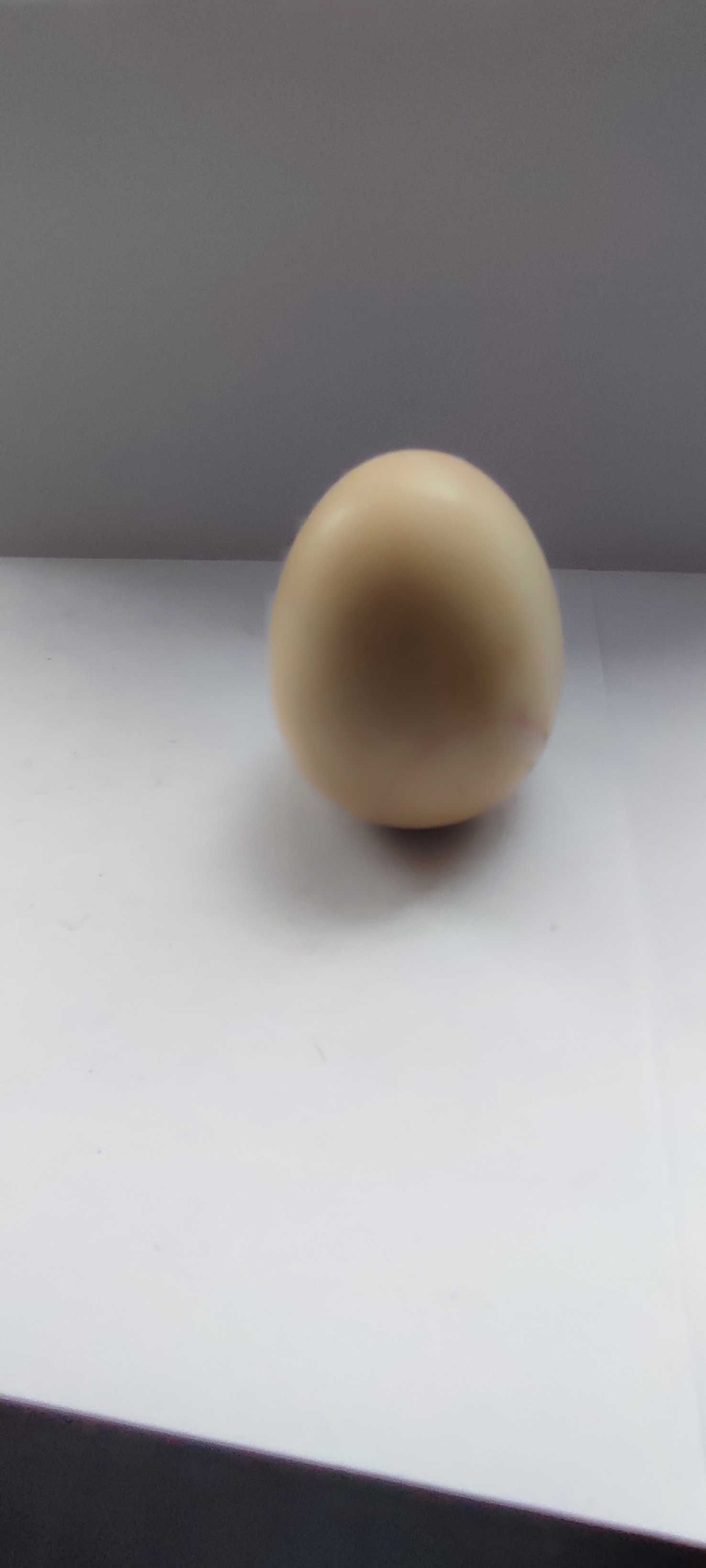 Для интерьера дома - яйцо из камня ОНИКС
