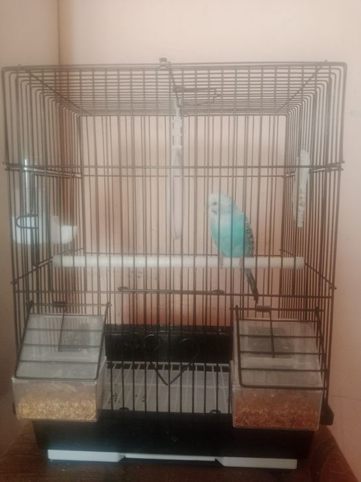 Кыз есімі Арши  біреу ғана