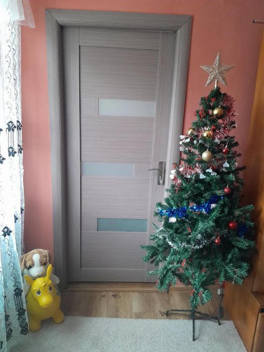 Vând 2 uși folosite dar arată că noi