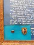 Портрет ТЖивков от соца и колаж Отрядник