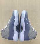 Jordan 11 grey.