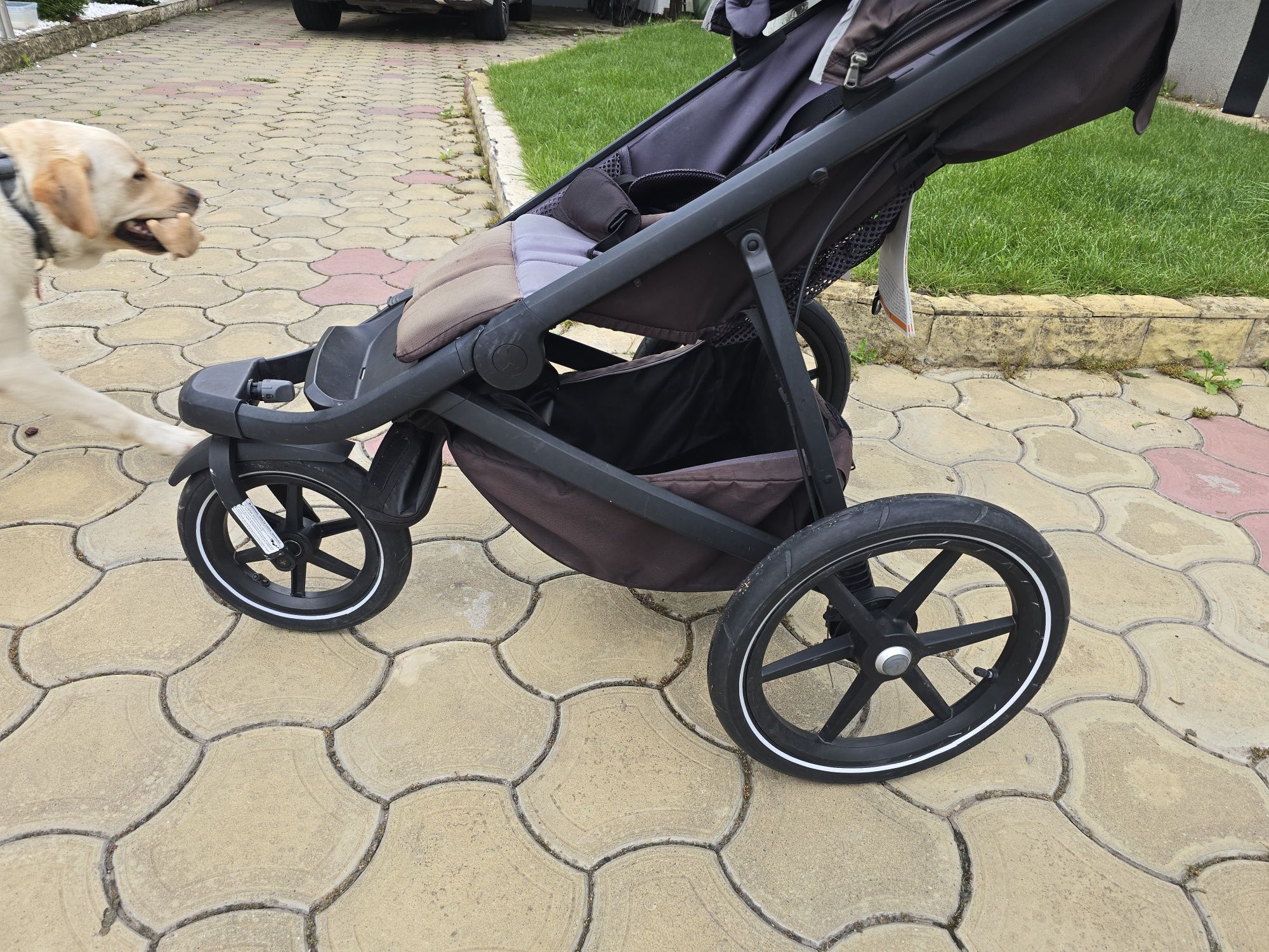 Carucior, stroller Thule urban glide 2