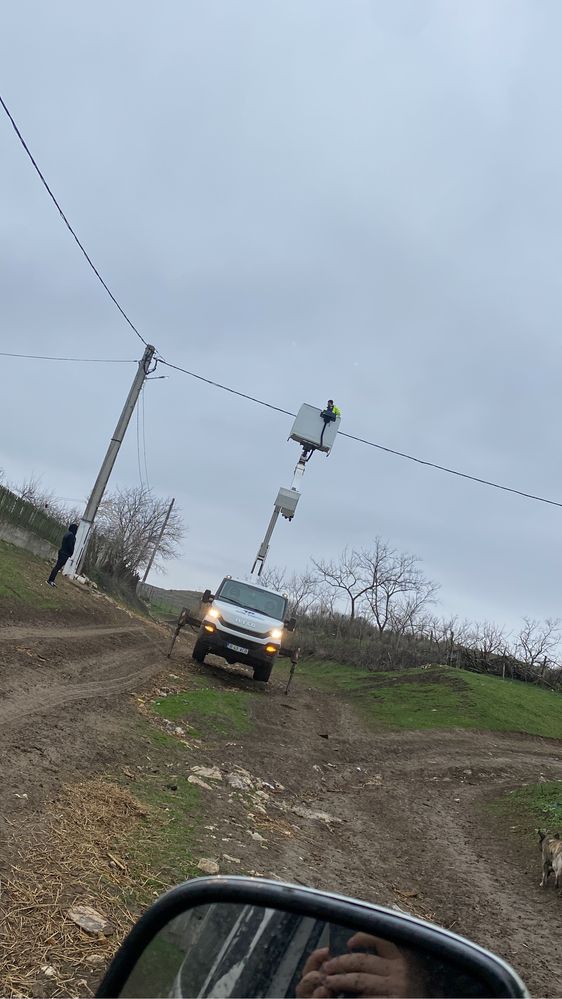 Toaletări pomi Nacela Prb