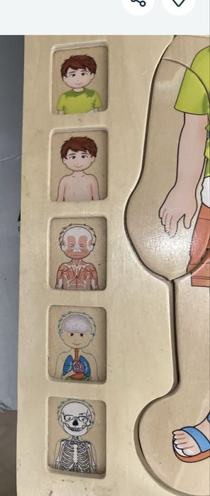 Joc lemn compenente corpului uman