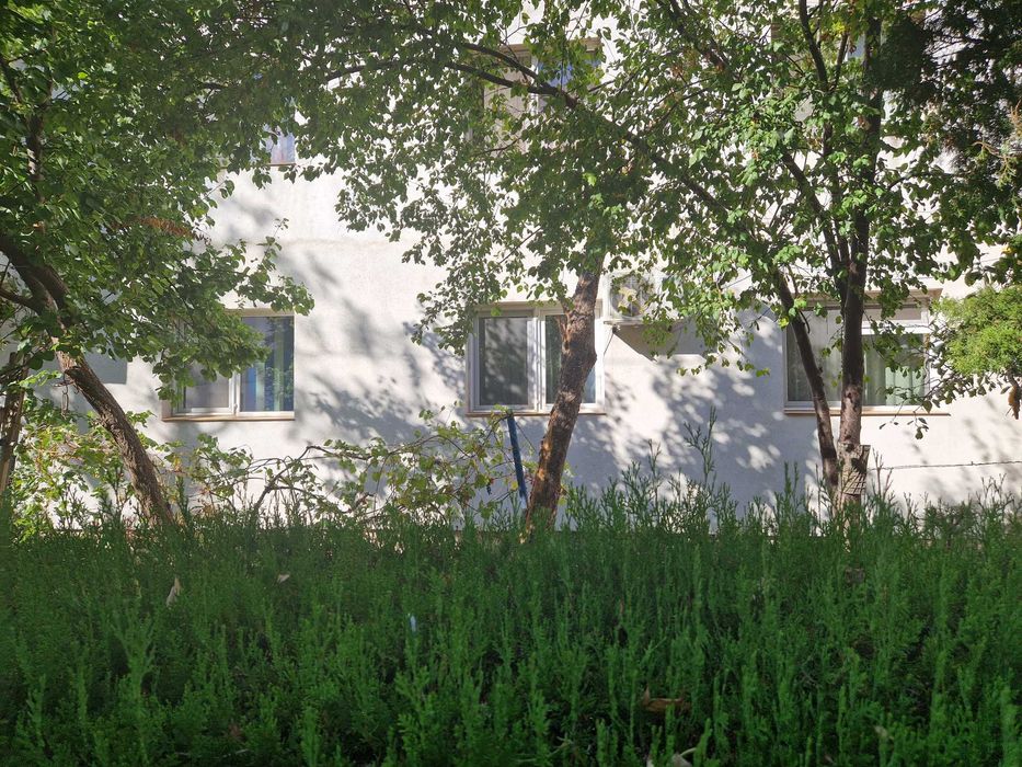 Apartament 3 camere