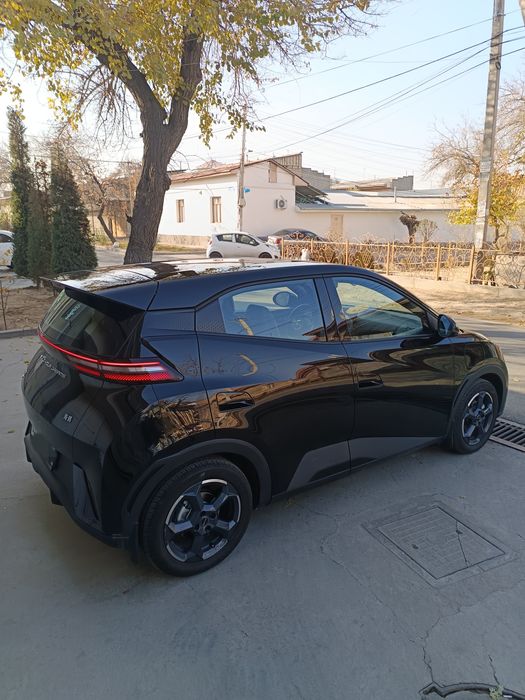 Byd Seagull flying 405km  full pozitsiya