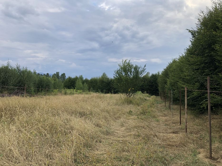 De vânzare teren cu fantana si autorizatie de constructie pe Valea Avr