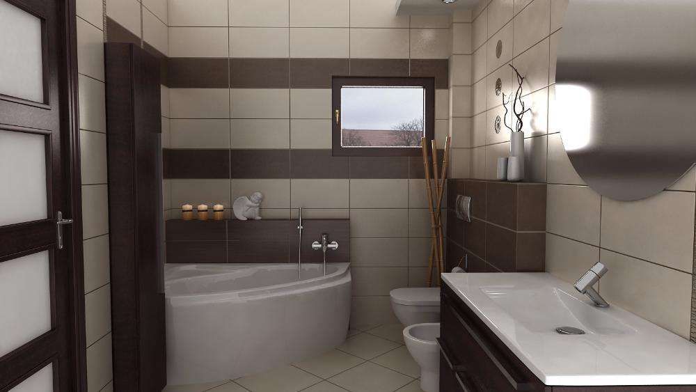 Branșamente  apă și canalizare