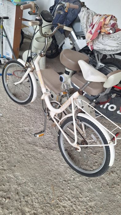 Bicicleta Raleigh/ pegas