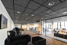 Фибролитовые акустические потолки и панели